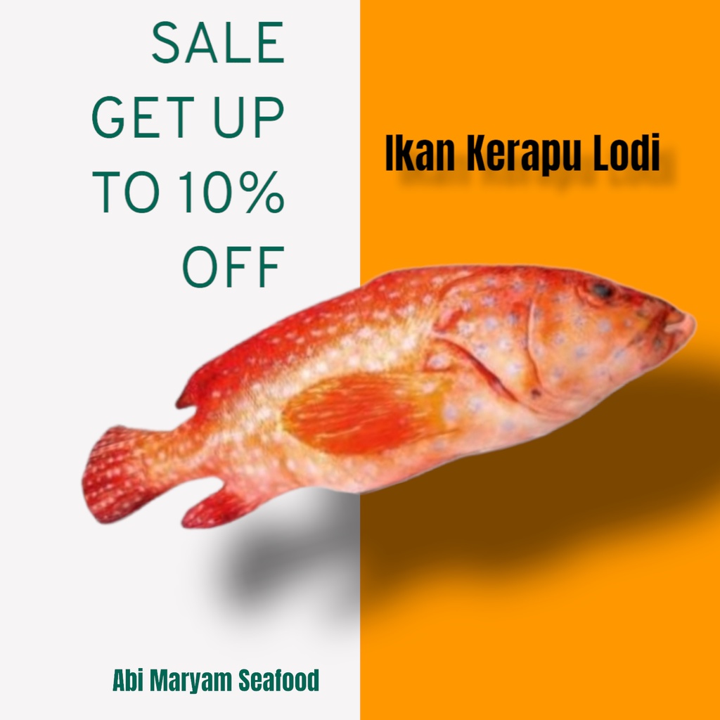 

Ikan Kerapu Lodi Fresh Berkualitas 1kg