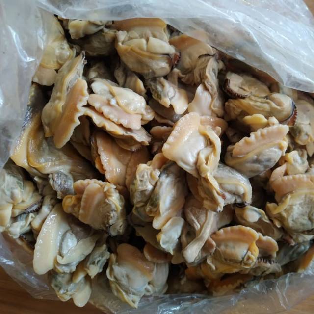 KERANG KUPAS (KIJING)