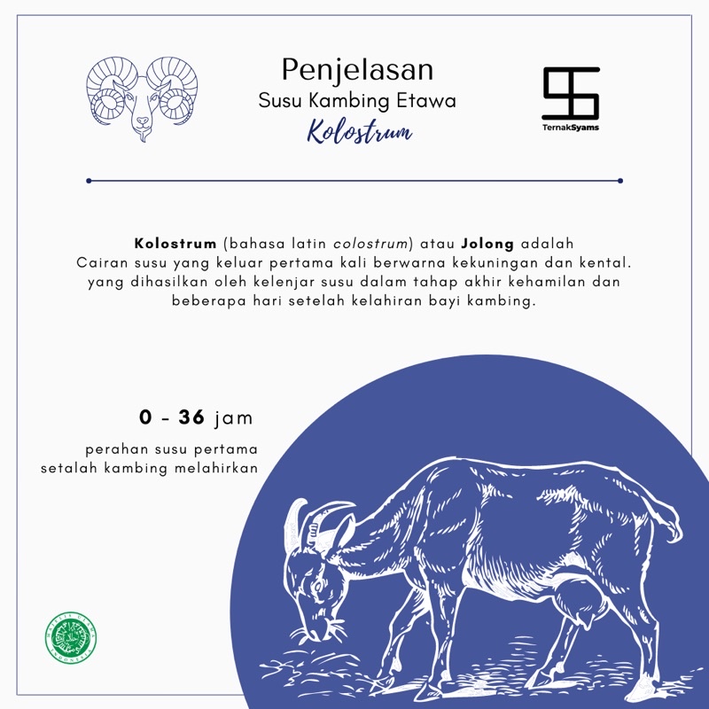 Premium Susu Kambing Etawa Kolostrum Colostrum Bubuk Ternak Syams 1000 gram 1 Kg Murni Organik Pure Natural Original tanpa campuran gula Alami Asli mentah kiloan murah termurah