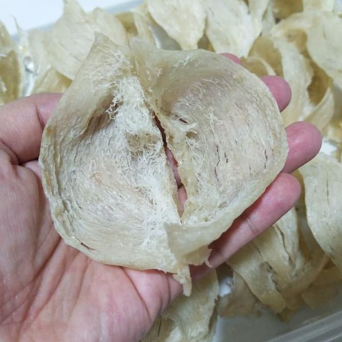 

sarang burung walet mangkok 100gram ---Termurah---