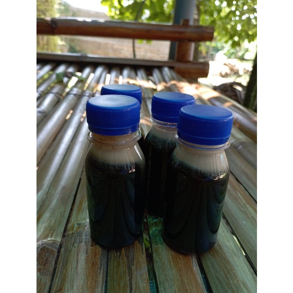 

Madu Akasia Carava, Madu Asli, Madu Lebah, Randu, Akasia, Multiflora 80ml