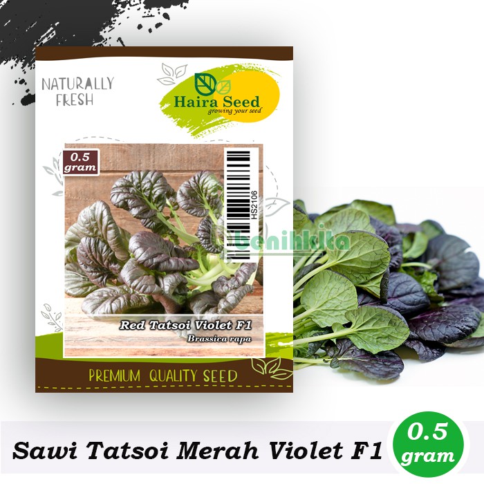 Benih-Bibit Sawi Red Tatsoi Violet/Tatsoi Merah F1 (Haira Seed)