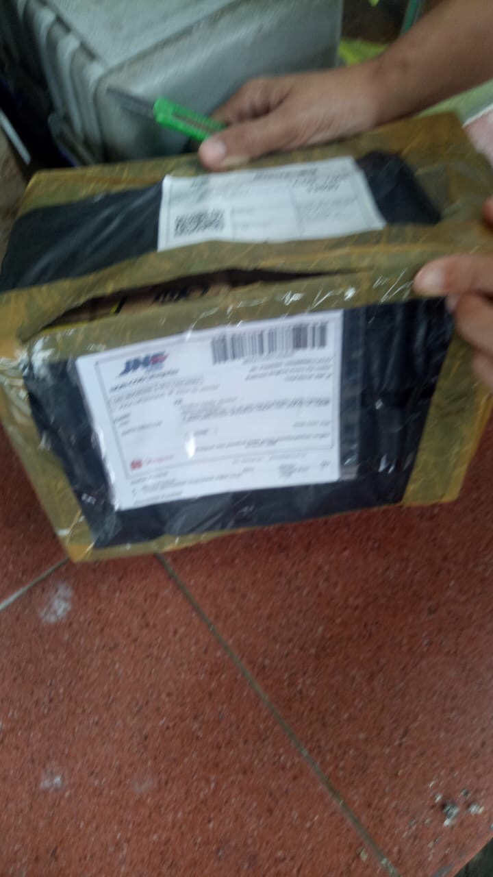 Chana Gachua/ikan Bogo/drawf Snake Head