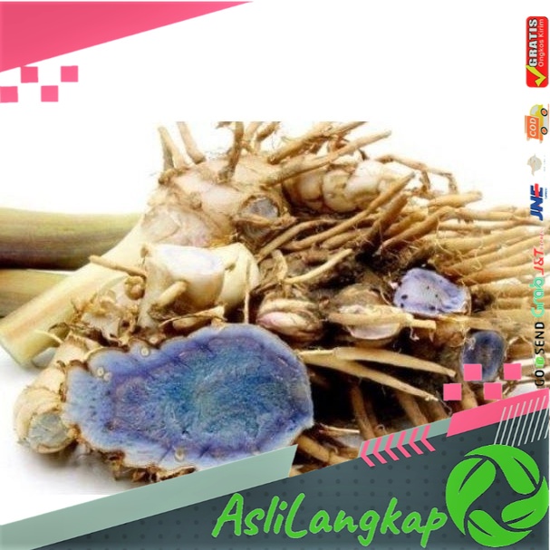 

TEMU IRENG SUPER 1 KG SEGAR ALAMI TUA segar