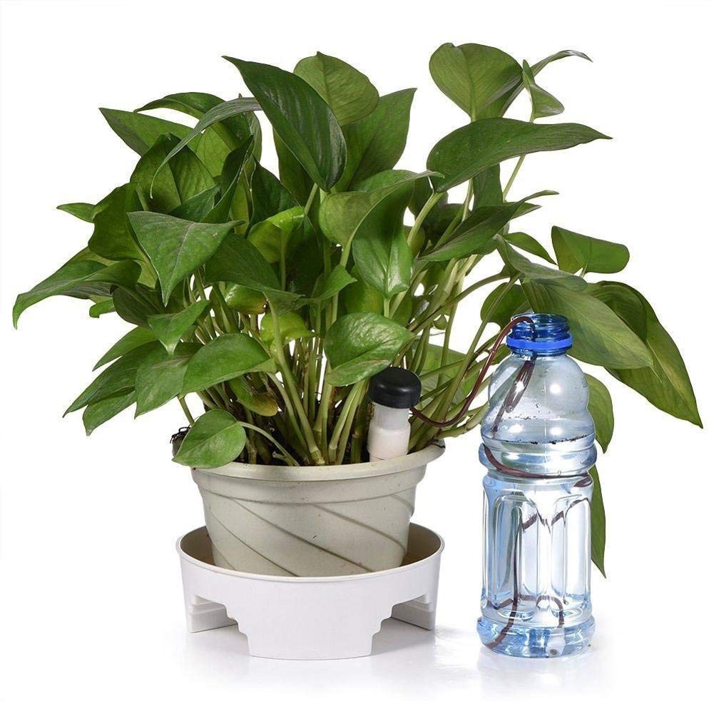 2 Pcs Automatic Plant Self Drip Irrigation Slow Release Waterers Watering plants