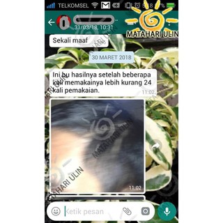 pewarna rambut  beruban hitam  yg halal asli biji ulin 