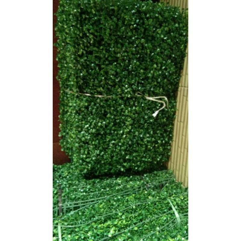 daun rambat dollar/daun dollar sintetis