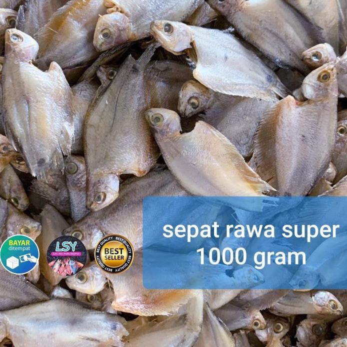 

TERLARIS BRANDS FESTIVAL ikan asin sepat rawa 1000 gram serbuuu !