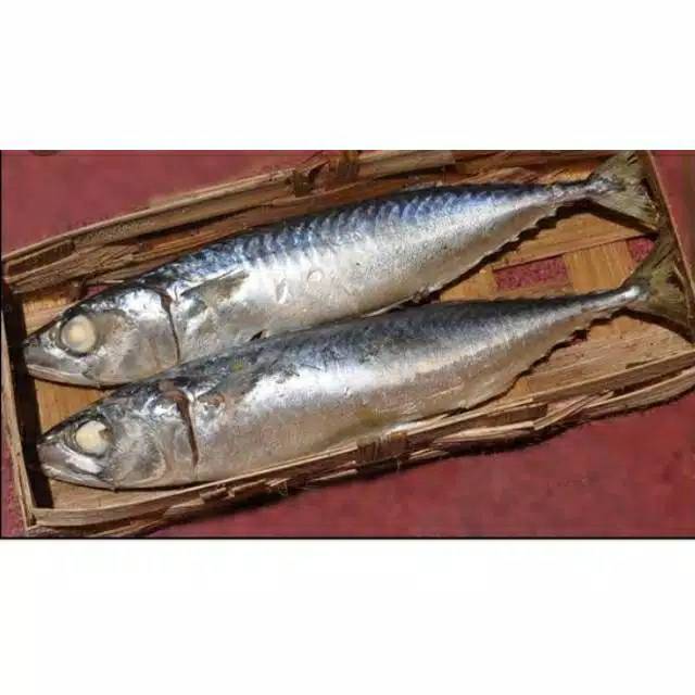 

PINDANG LAYANG DHELES ( SEGER ) 1 EKOR 80 GR