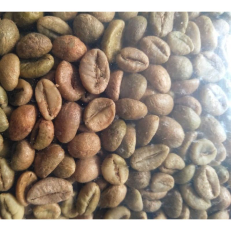 

ROBUSTA PALASARI (ESPRESSO MILK BASED)