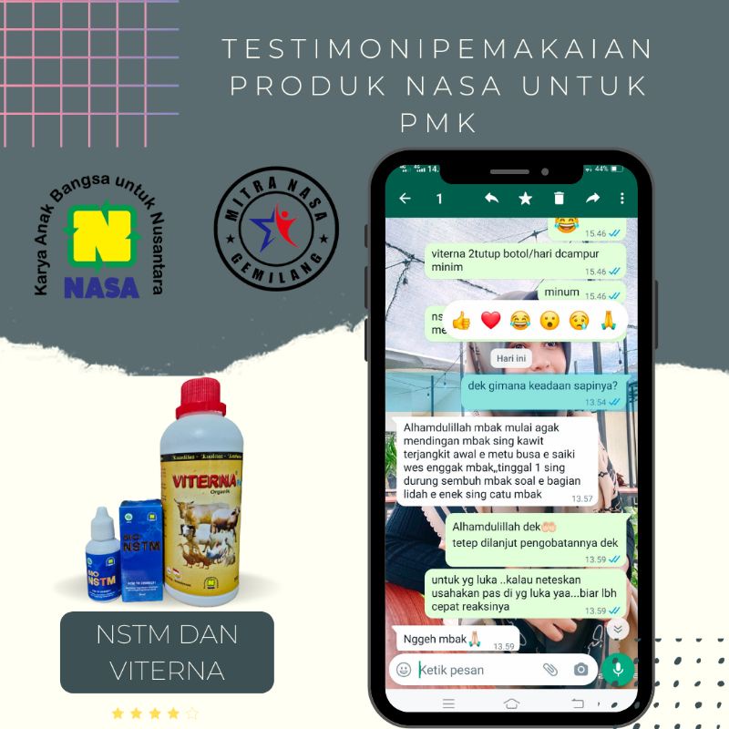 OBAT PMK PADA SAPI
