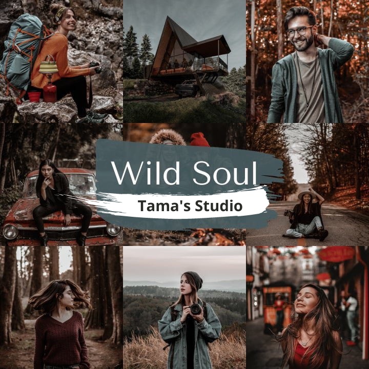 10 Lightroom Preset Wildsoul IOS/Android and Dekstop