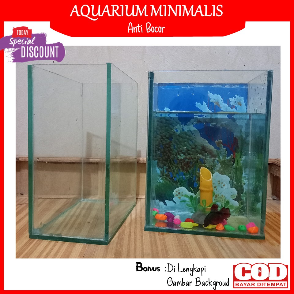 Aquarium Akuarium Soliter Mini Ikan Cupang Terlengkap (15x10x20)