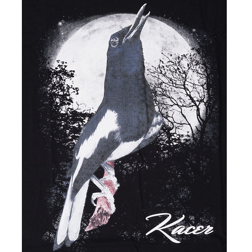 430+ Gambar Sketsa Burung Lovebird Ngekek Gratis Terbaik