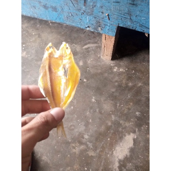 

ikan asin tawar
