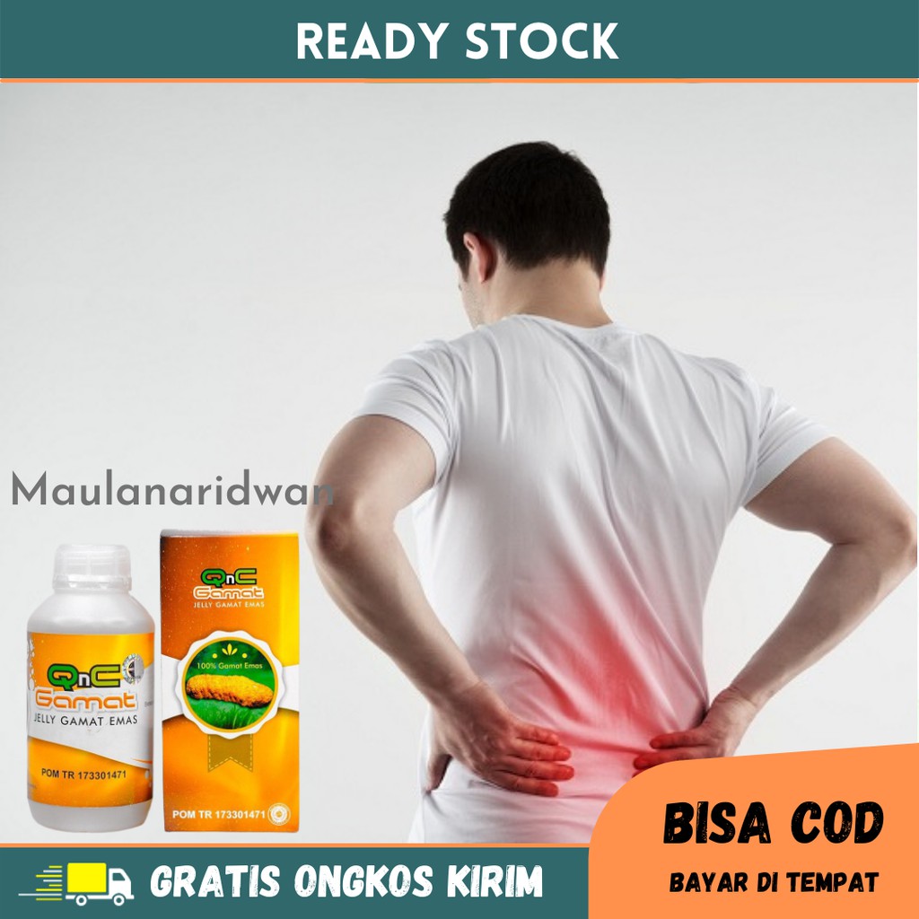 Obat Ginjal Bengkak, Gangguan Ginjal, Infeksi Ginjal, Gagal Ginjal, Sakit Ginjal - QnC Jelly Gamat