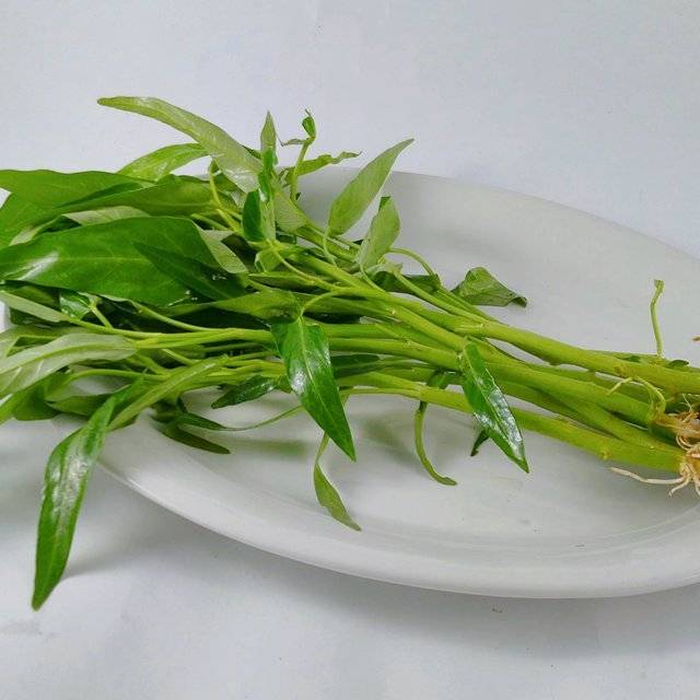 Jual Sayur Kangkung Per Ikat Shopee Indonesia