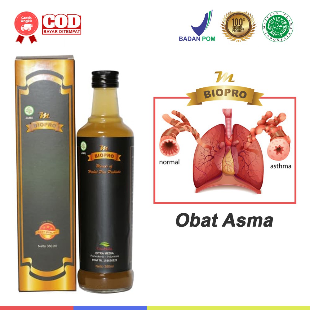 Jual Obat Asma Sakit Paru Paru Sesak Nafas Paru Paru Basah Batuk Berdahak Herbal Ampuh 0282