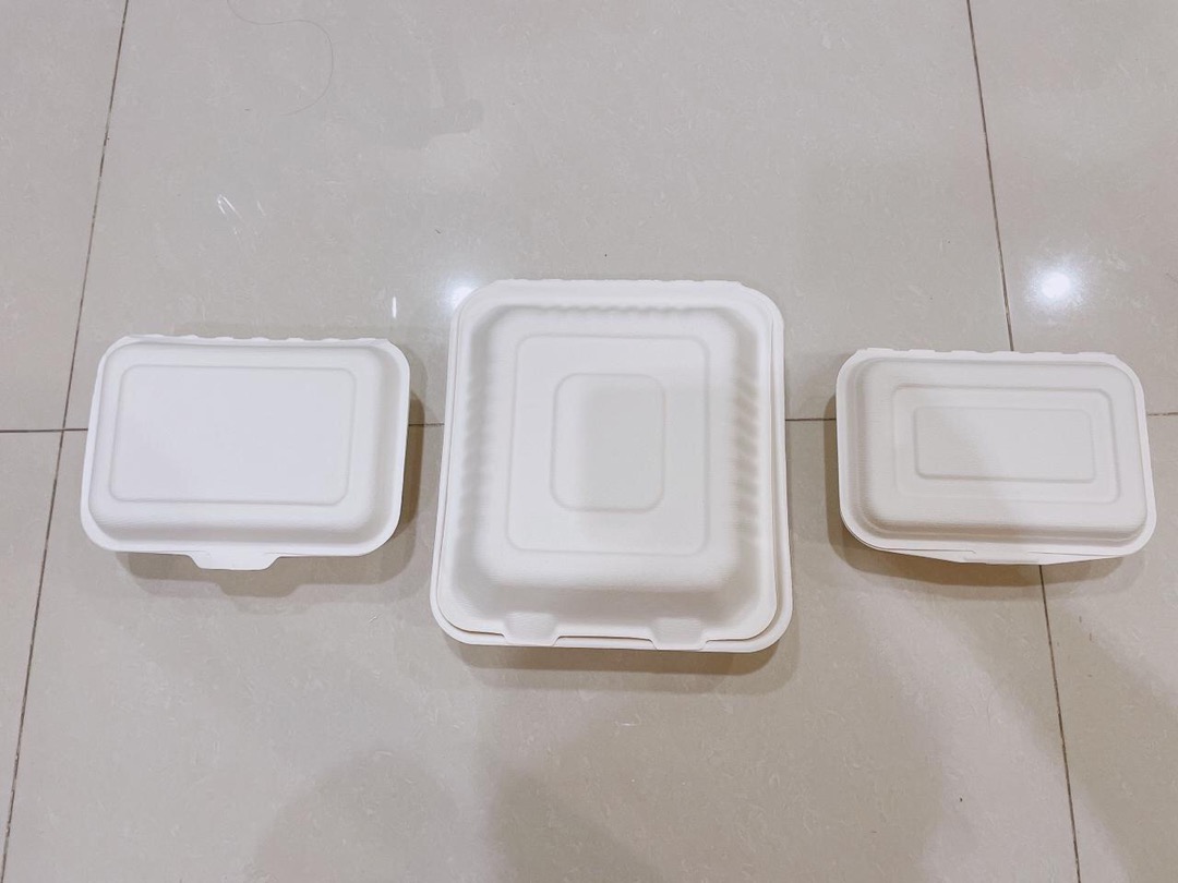 Bagasse Kotak 600ml Lunchbox Takeaway Sugarcane Serat Tebu Eco Friendly
