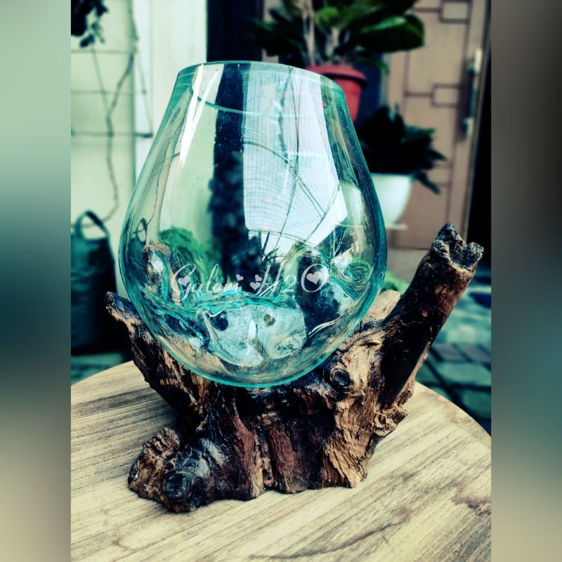 AKUARIUM IKAN CUPANG / DIAMETER 20 CM (SIZE XXL) / AQUASCAPE / AQUARIUM AKAR KAYU / SIZE 20 CM