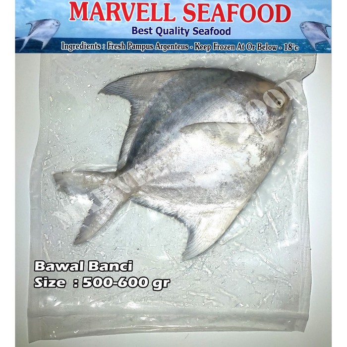 

IKAN BAWAL BANCI FRESH/FROZEN SIZE 500/600gr 1pcs