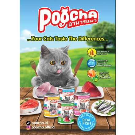 Poocha 400gr makanan kaleng kucing