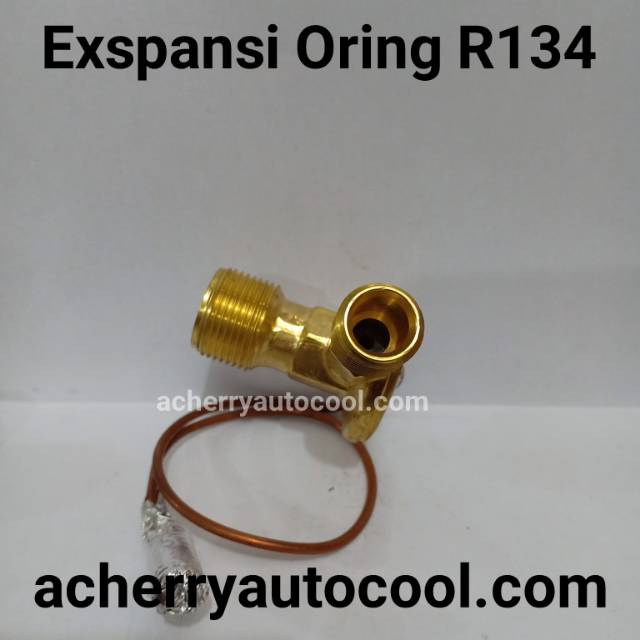 Expansi Oring R 134