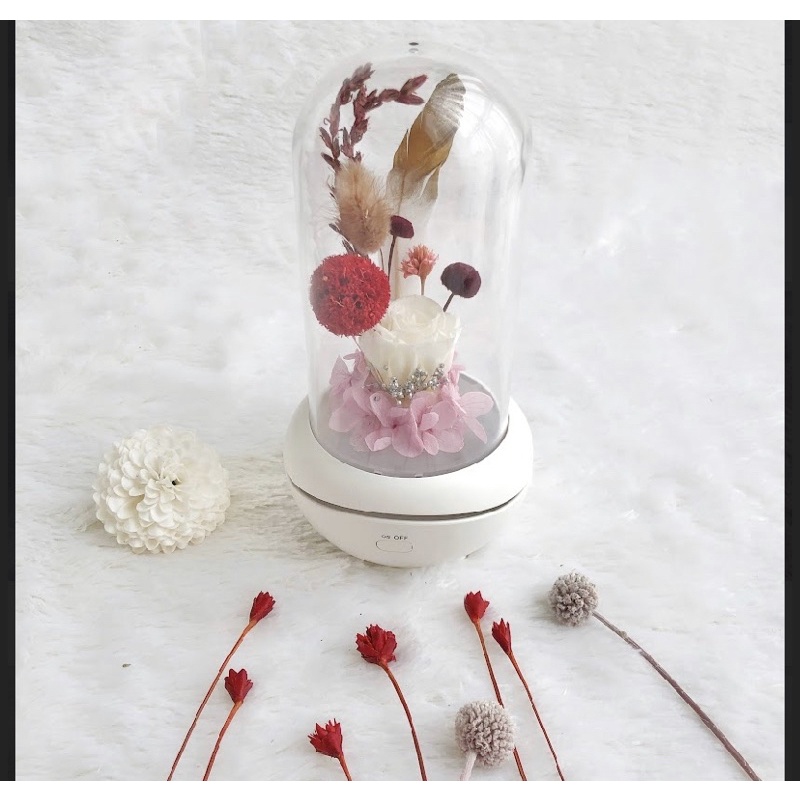 Diffuiser aromaterapi/ aroma terapi diffuiser dried flowers