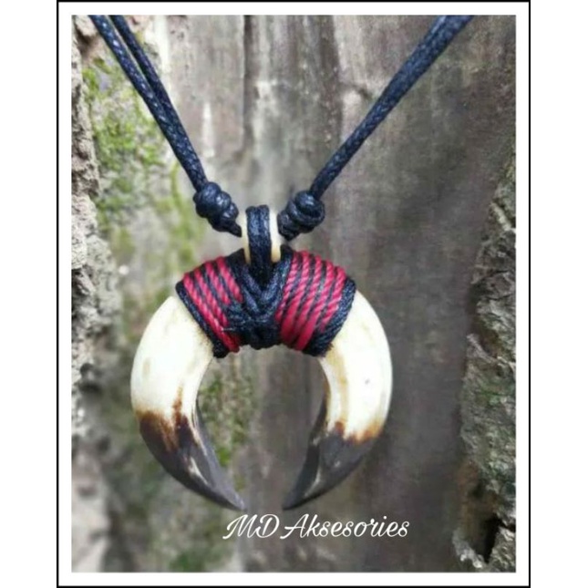 Taring Babi Sepasang Mini