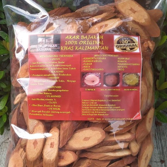 

AKAR BAJAKAH KERING SIAP SEDUH 500 Gr KHAS KALIMANTAN (100% ORIGINAL)