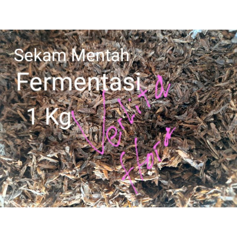 Sekam Mentah Fermentasi Alami Siap Pakai 1Kg Media Tanam Aglonema Monstera Variegata Alocasia