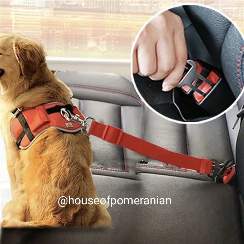 dog car harness safety belt mobil tali kekang carseat anjing puppy