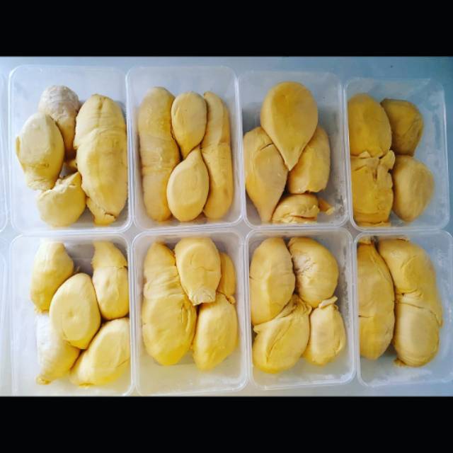 

Duren montong Palu