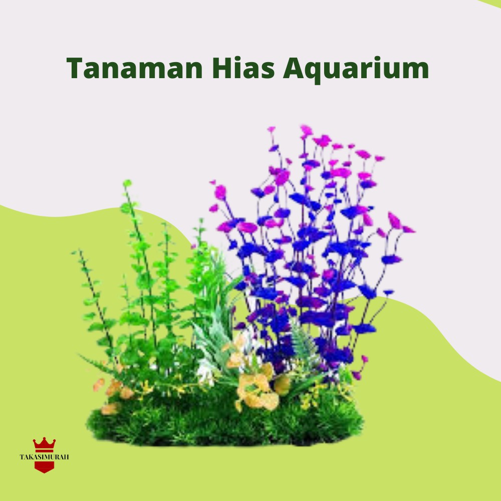 960+ Dekorasi Aquarium Hias Gratis