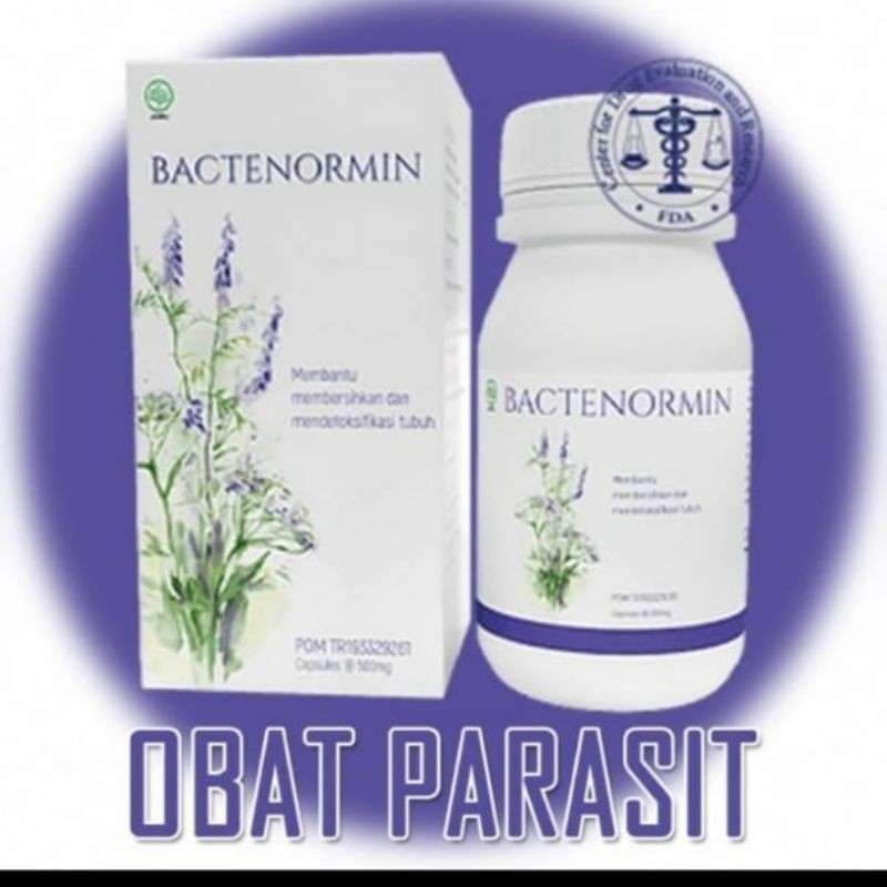 bactenormin obat parasit cacing dalam tubuh herbal