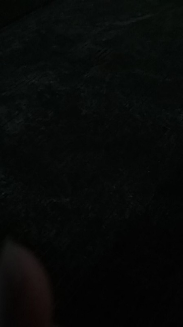 Souvenir Tumbler Dove Warna