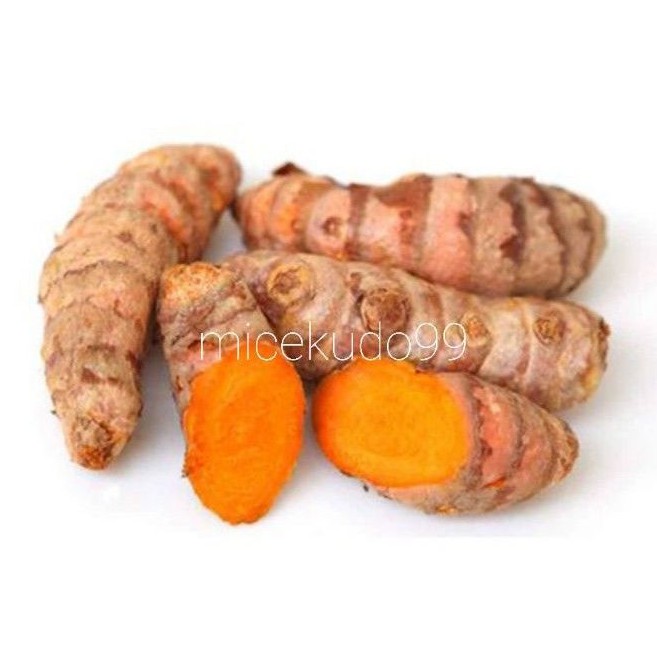 

REMPAH KUNYIT KUNING SEGAR 250 GRAM KUNIR TURMERIC CURCUMA FRESH