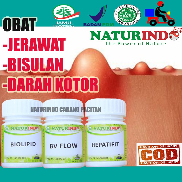 Obat Bisul Bisulan Obat Jerawat Darah Kotor NATURINDO Herbal Paling AMPUH BPOM COD