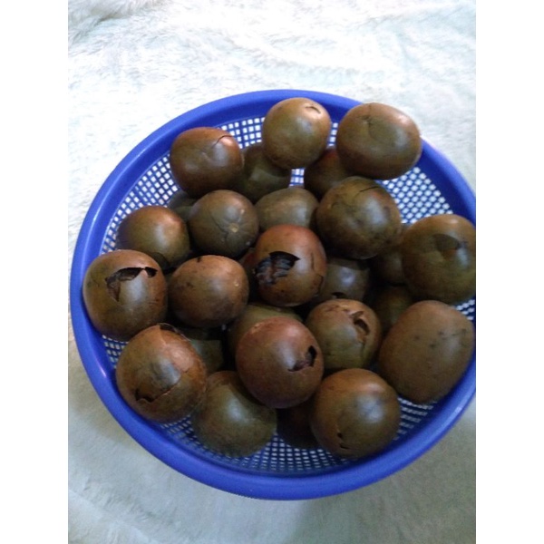 

Buah Lo Han Kuo Yang Pecah Perbiji