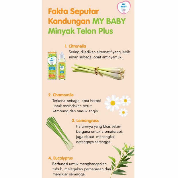 MY BABY MINYAK TELON PLUS  EUCALYPTUS 8 JAM DAN MY BABY TELON PLUS LONGER PROTECTION 12 JAM 60ML/90ML/150ML