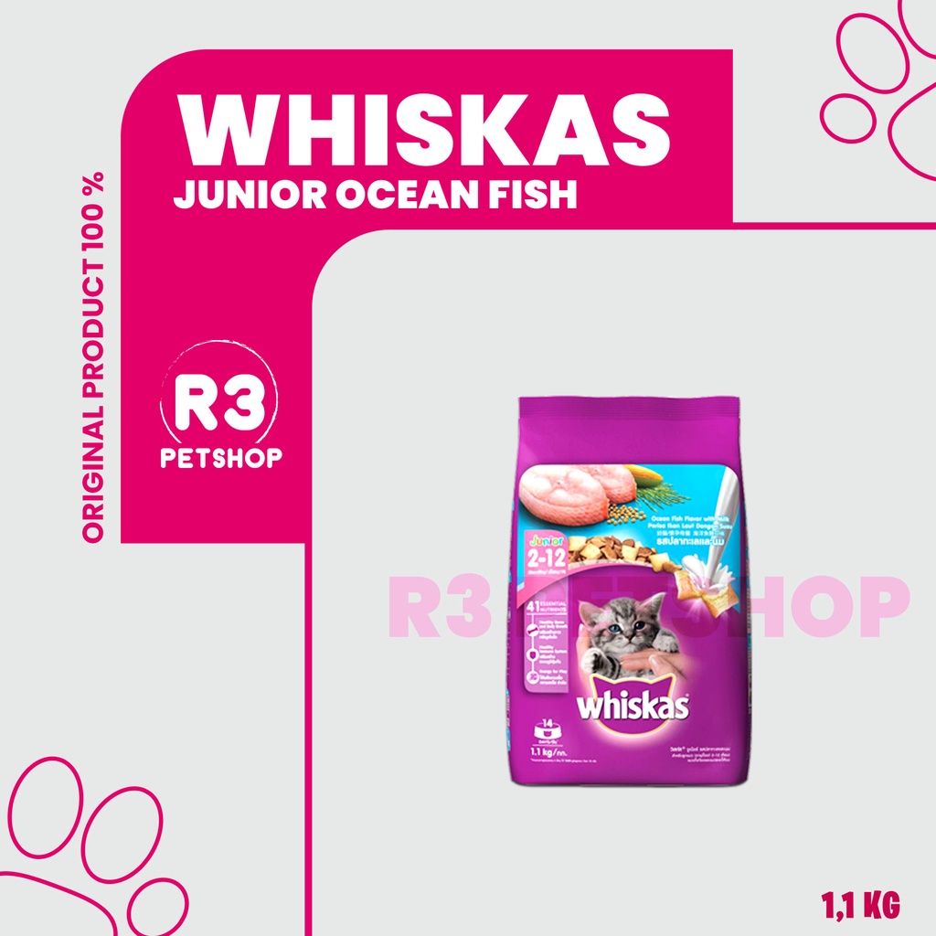 Makanan Kucing kering murah WHISKAS JUNIOR 1,1kg All Varian