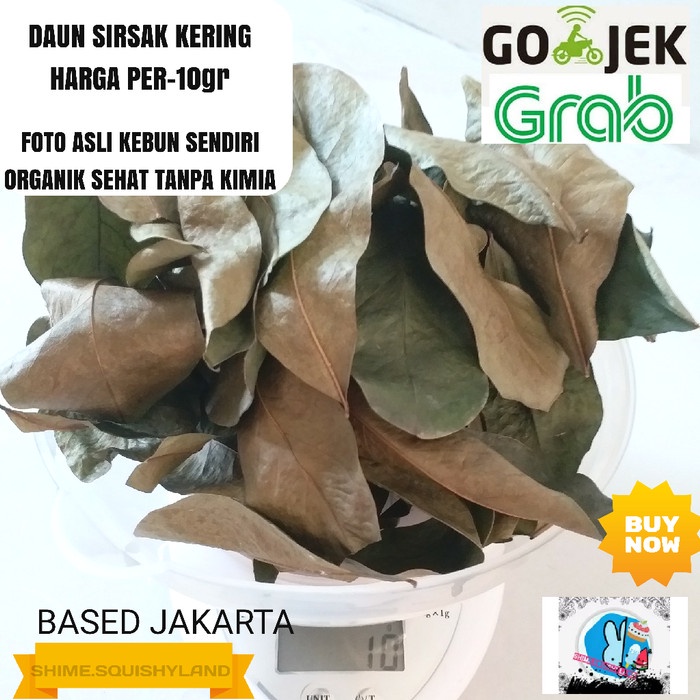 

d1011dd Daun Sirsak Kering Grade A Organik Daun Obat Herbal Gr040H