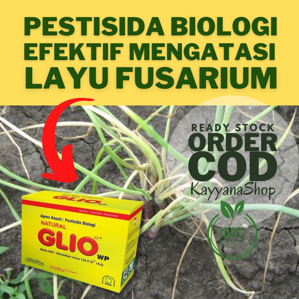 Promo NATURAL GLIO Pengendali Jamur Fusarium Penyebab Layu Tanaman 100 Gram /Fungisida Organik NASA / Obat Jamur Tanaman Hias / Obat Jamur Tanaman Buah / Obat Jamur Tanaman Cabe / Obat Jamur Akar Tanaman / Fusarium /Obat Jamur Akar Putih / Obat Layu