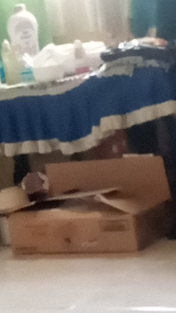 Panci Stainless Gagang Tutup Kaca 18 Cm Regina