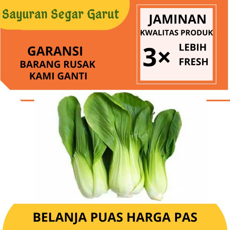 

Sayur Pakcoy Sawi Sendok Baby Pakcoy Sayur Murah 250gr by Sayuran Segar Garut