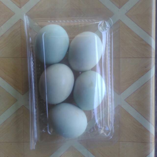 

Telor asin