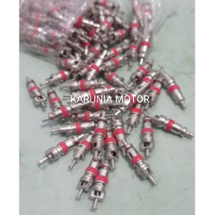 Spuyer isi pentil ban motor