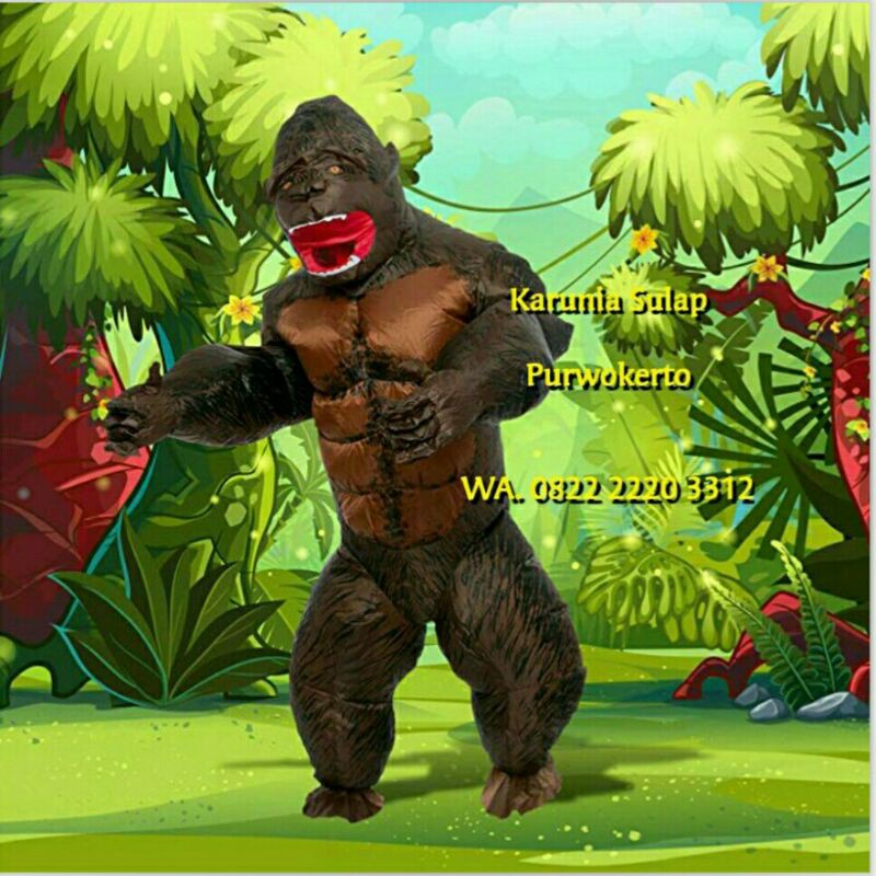 KOSTUM GORILLA KING KONG KOSTUM ANGIN MONYET COSPLAY BADUT LUCU PESTA LUCU CARNAVAL FESTIVAL