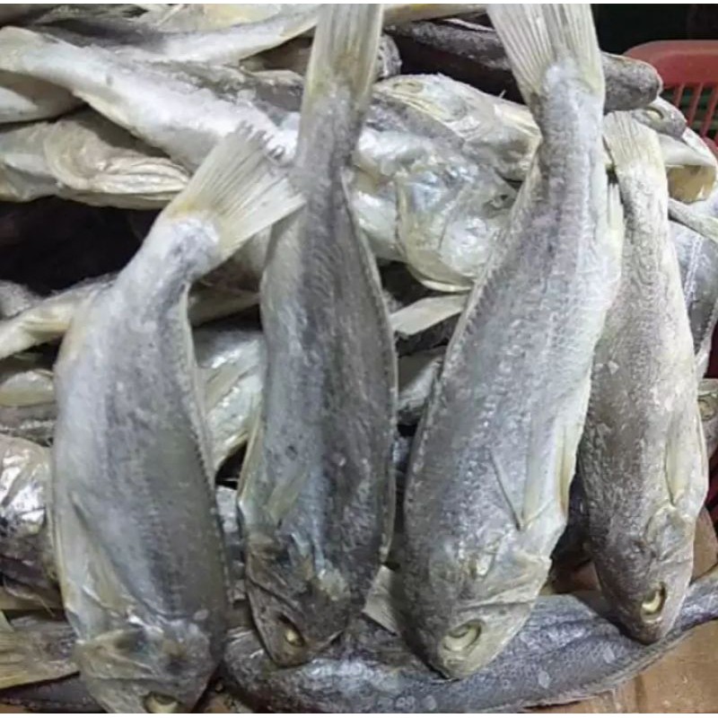

Ikan Asin Kepala Batu