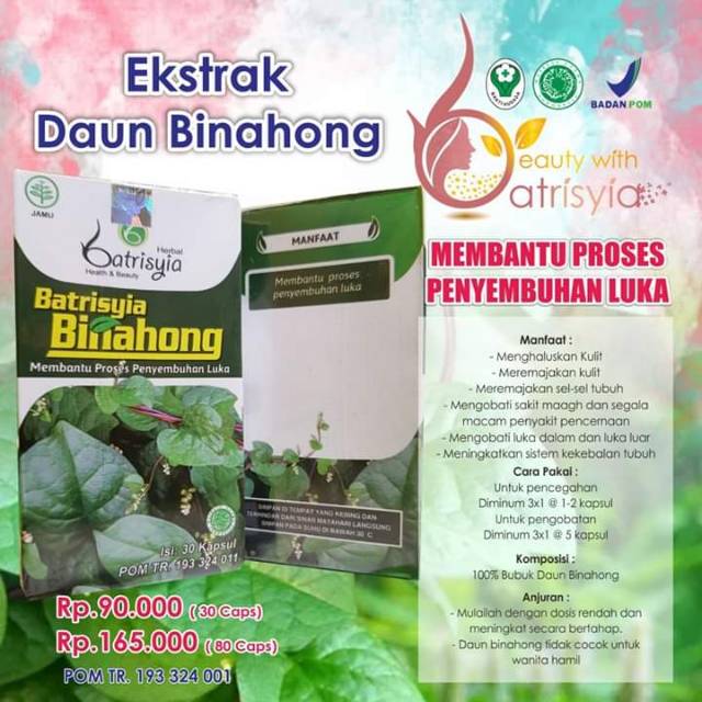 

ekstrak daun binahong